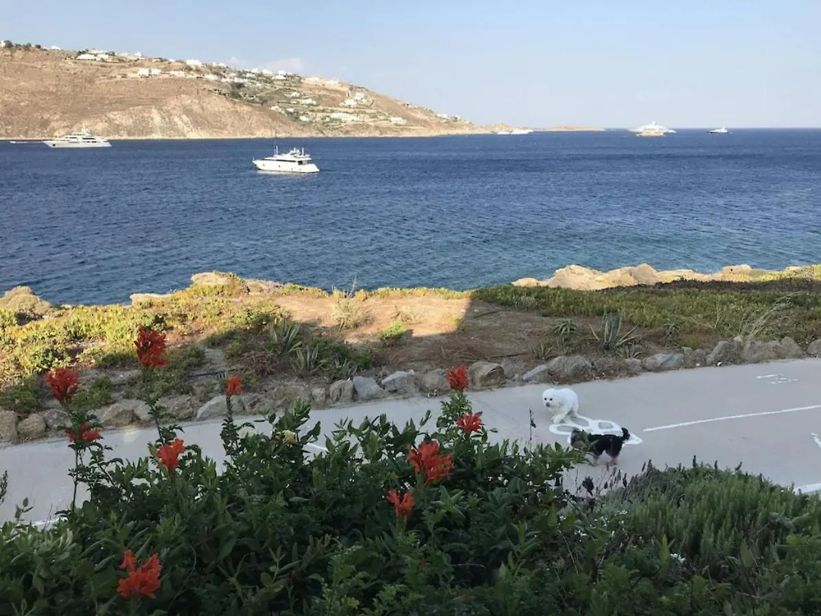 Apollon House On The Sea Villa Mykonos Town Greece